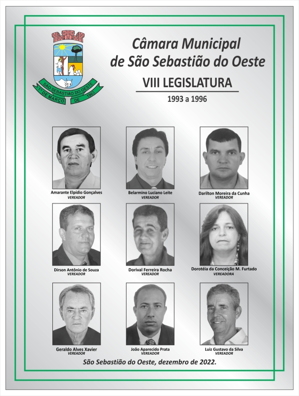 VIII Legislatura