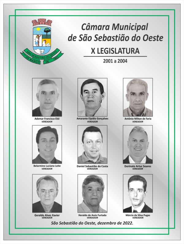 X Legislatura